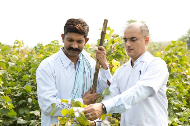 Environmental Care