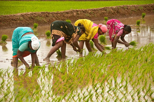 Sustainable Agriculture